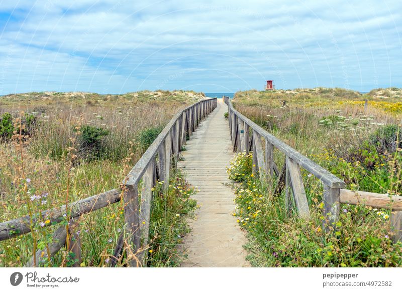 langer Holzsteg in Andalusien Spanien ,der zu einem Traumstrand führt Dünen Strand Sand Himmel Ferien & Urlaub & Reisen Küste Dünengras Tourismus Außenaufnahme