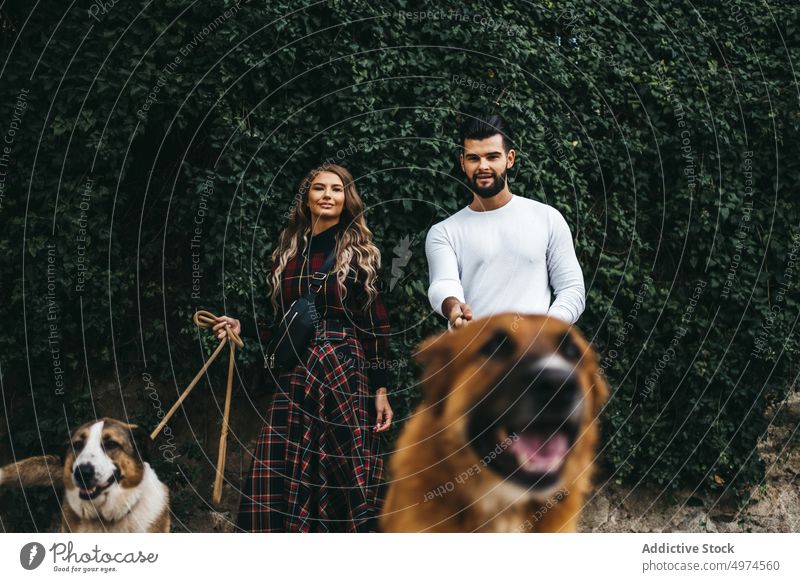 junges attraktives Paar, das mit seinen Hunden spazieren geht laufen Datierung Straße Großstadt Frau Mann Glück Park zwei Haustier lässig Zusammensein Menschen