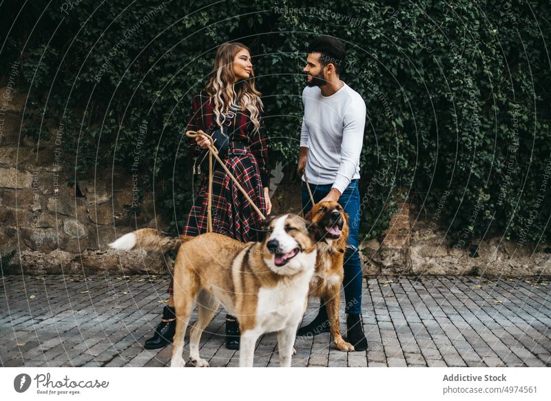junges attraktives Paar, das mit seinen Hunden spazieren geht laufen Datierung Straße Großstadt Frau Mann Glück Park zwei Haustier lässig Zusammensein Menschen