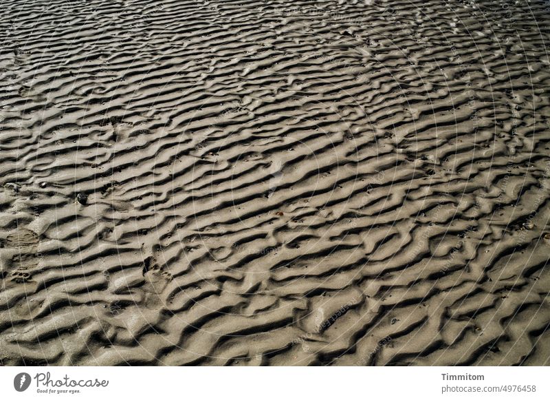 Nordseestrandsand bei Ebbe Strand Sand Küste Dänemark Natur Gezeiten Muster Formen plastisch Menschenleer Schatten