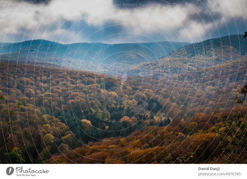 Nationalpark Fruska Gora in Serbien, Herbst Luftbild Herbstlandschaft Herbstliche Bäume herbst Hintergrund schön Cloud Wolken wolkig farbenfroh Farben Umwelt