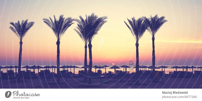 Silhouetten von Palmen an einem Strand bei Sonnenaufgang, farblich getönt, Ägypten. Sonnenuntergang Himmel Natur tropisch MEER Handfläche Baum Paradies Sommer