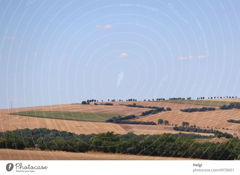spätsommerliche Landschaft mit Kornfeldern und Bäumen vor blauem Himmel mit Wölkchen Natur Feld Sommer Spätsommer Baum Strauch Horizont Weite Landwirtschaft