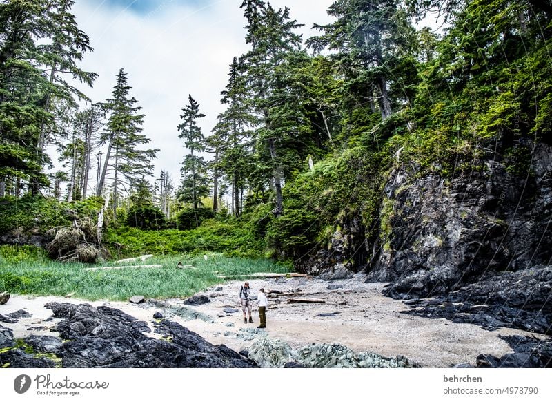 immer wieder kanada Bäume Rocky Mountains Fernweh Wald Ferne Natur Kanada Landschaft Nordamerika weite