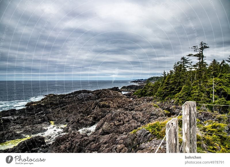 vancouver island Natur Küste Landschaft Meer Wald Bäume British Columbia Wasser Abenteuer Kanada Nordamerika Vancouver Island Ferien & Urlaub & Reisen