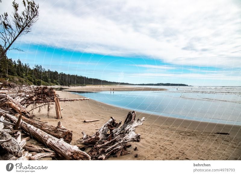 natur pur Strand Wolken Landschaft Natur Freiheit Küste weite Fernweh Himmel Außenaufnahme Meer Idylle Sehnsucht Ferien & Urlaub & Reisen Wasser Abenteuer