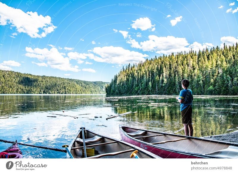 still ruht der see Nordamerika Wasser Pflanze Natur See Kanada Boot Clearwater Lake Wald Ferne Landschaft Fernweh Bergsee British Columbia Abenteuer