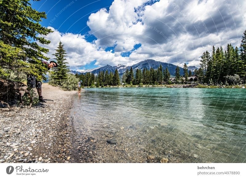 alles ist im fluss Wasser Abenteuer Bäume Wald Ferne Fluss Ferien & Urlaub & Reisen Fernweh Banff National Park Alberta Rocky Mountains Nordamerika canmore