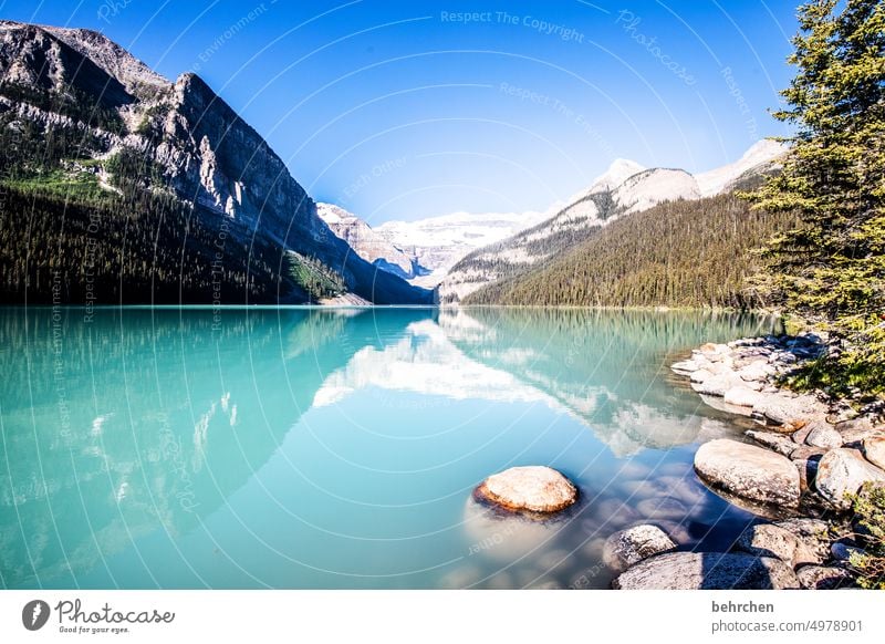 immer wieder kanada Natur Kanada See Alberta Lake Louise Rocky Mountains Nordamerika Bergsee Banff National Park Gletscher