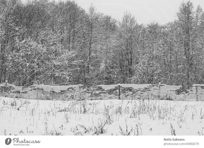 schneebedeckter Metallzaun entlang laubloser Bäume abstrakt Erlenbaum Kunst Hintergrund schwarz blanko Weihnachten weihnachten muster kalte Witterung Farbe