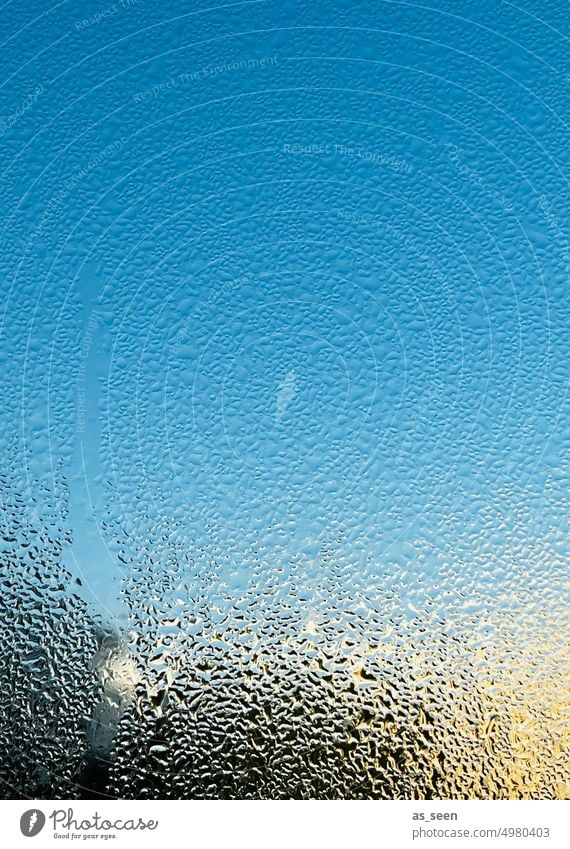 Fenster an einem schönen, kalten Tag Kondenswasser Fensterscheibe Tropfen Wasser Wassertropfen nass Glas Wetter Menschenleer Reflexion & Spiegelung Sonne Kälte