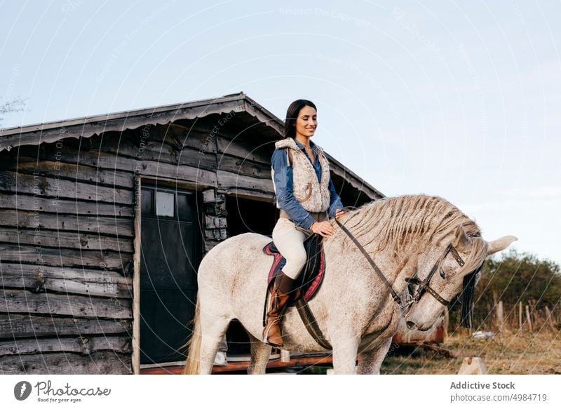 Frau reitet auf weißem Pferd in der Natur Reiter ländlich hell Sonnenlicht pferdeähnlich Sitzen Pferderücken Sattel Erholung Lifestyle züchten Bauernhof