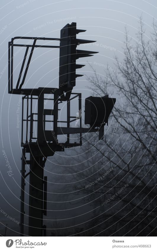 Signal Eisenbahn Strommast Telefonmast Sendemast Nebel Dunst Baum Ast November Herbst kahl kalt Monochrom Silhouette grau schwarz Menschenleer Textfreiraum oben
