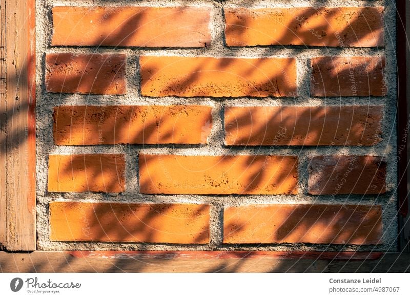 Backsteinmauer im Fachwerk mit Schatten von Blättern Backsteinwand Fassade Mauer Strukturen & Formen Backsteinfassade rot orange Schattenspiel sonnig Muster