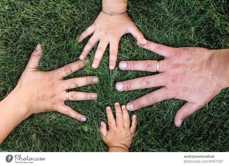 Mütter, Väter und childs Hände auf grünem Gras. glückliche Familie, Kindheit Konzept. Tag der Mutter, Vater, Kind. Familie verbringt Zeit zusammen in der Natur. Sommerurlaub Konzept.