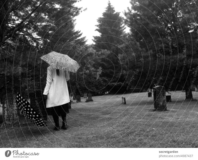[HH unnamed road] Dem Tod so nah Frau Schwarzweißfoto traurig regnerisch Friedhof Frieden Rasen Natur Regenschirm Trauer Grab Grabstein Vergänglichkeit