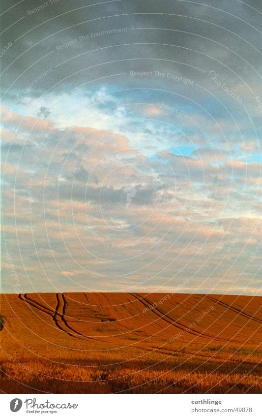 Feldstärke 1 Wolken Horizont rot Hochformat Ferne Himmel Spuren orange blau Getreide Ernte Abend Sommer