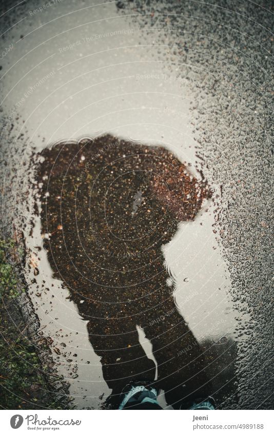 [HH Unnamed Road] Mann mit Regenschirm spiegelt sich in der Pfütze Herbst nass Spiegelung Wasser Reflexion & Spiegelung Wetter Straße Asphalt Regenwetter Körper