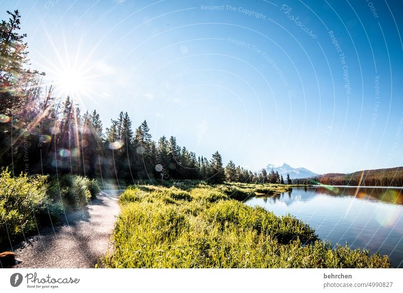 sonnenschein Jasper National Park Seeufer Alberta Wasser Himmel Nordamerika Landschaft Kanada Natur Ferne Wald Fernweh Rocky Mountains Maligne Lake