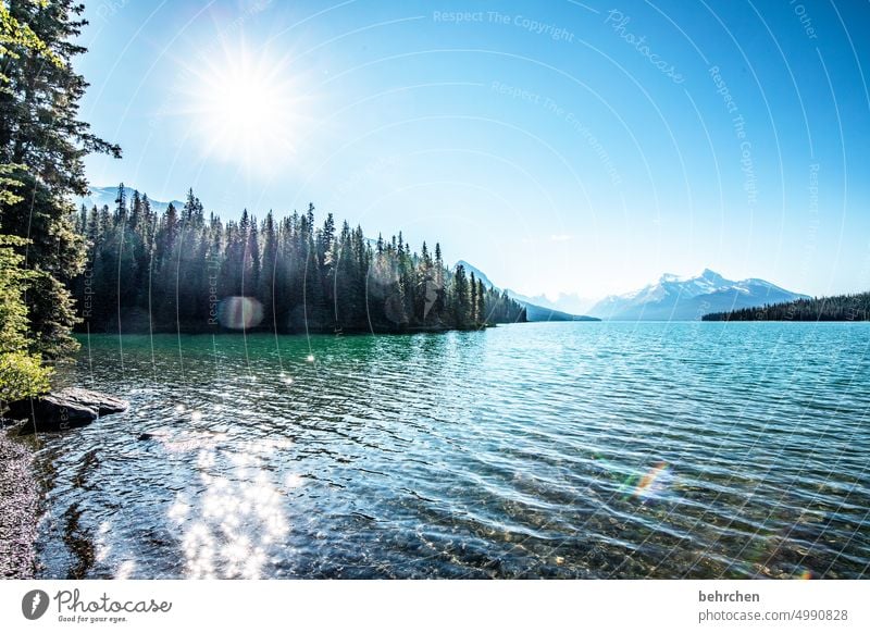 sterngeschichten Seeufer Wasser Jasper National Park Alberta Himmel Nordamerika Landschaft Natur besonders fantastisch Abenteuer Kanada Ferne Wald