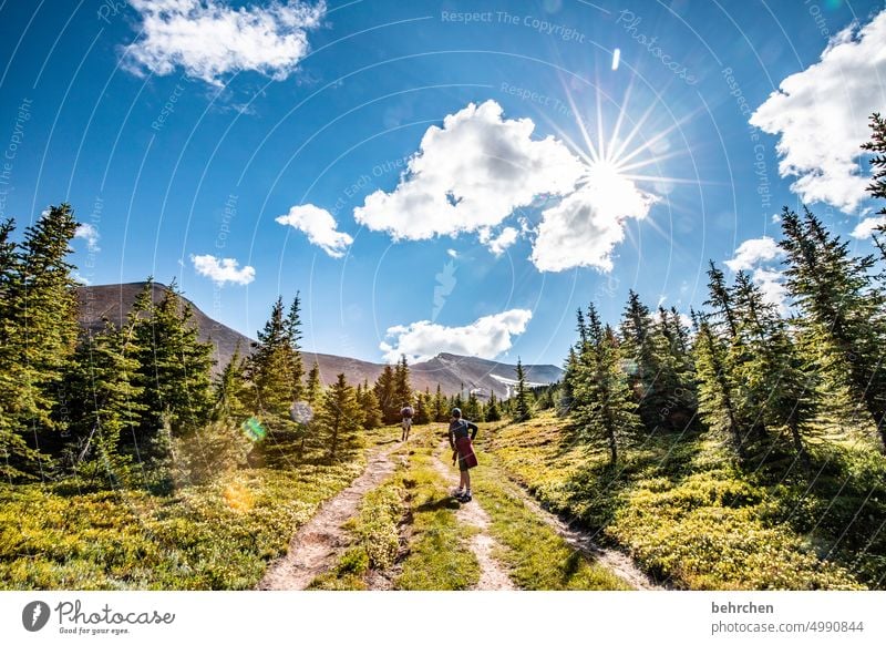 es war einmal in kanada Jasper National Park Wolken wandern Kanada Abenteuer Berge u. Gebirge Wald Bäume Landschaft Nordamerika Rocky Mountains Fernweh Ferne