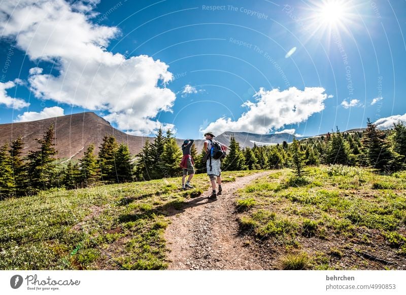 es war einmal in kanada Jasper National Park Wolken wandern Kanada Abenteuer Berge u. Gebirge Wald Bäume Landschaft Nordamerika Rocky Mountains Fernweh Ferne