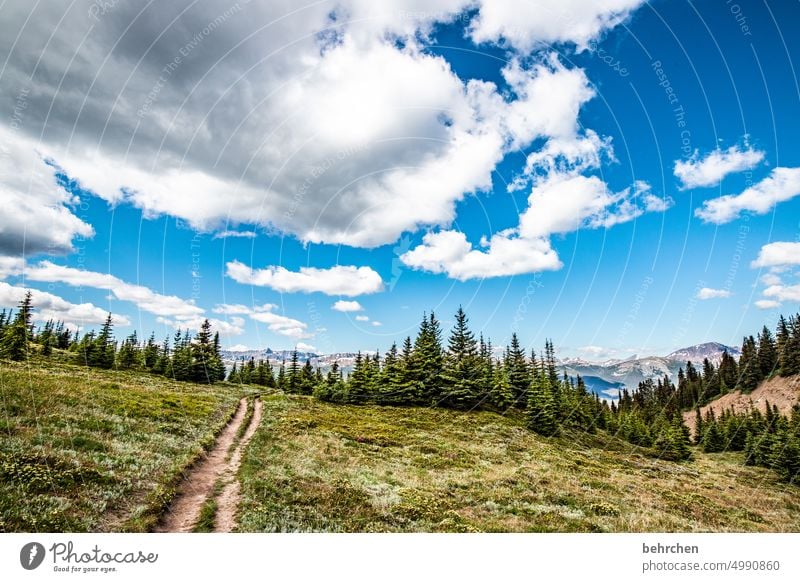 es war einmal in kanada Jasper National Park Wolken wandern Kanada Abenteuer Berge u. Gebirge Wald Bäume Landschaft Nordamerika Rocky Mountains Fernweh Ferne