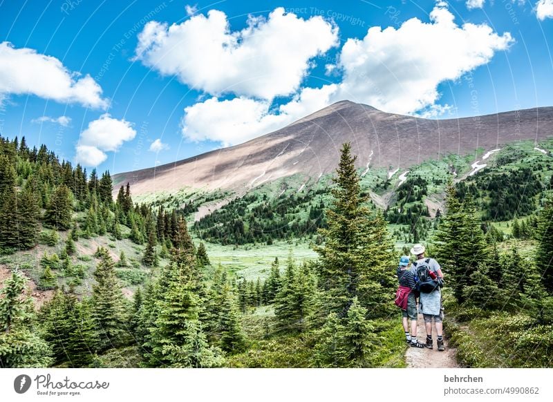 es war einmal in kanada Jasper National Park Wolken wandern Kanada Abenteuer Berge u. Gebirge Wald Bäume Landschaft Nordamerika Rocky Mountains Fernweh Ferne