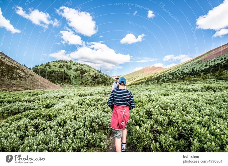 lassegeschichten Jasper National Park Familie & Verwandtschaft Wolken Freiheit Abenteuer Sohn wandern Kanada Berge u. Gebirge Wald Bäume Landschaft Nordamerika