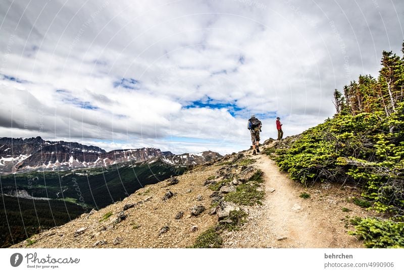 es war einmal in kanada Jasper National Park Wolken wandern Kanada Abenteuer Berge u. Gebirge Wald Bäume Landschaft Nordamerika Rocky Mountains Fernweh Ferne