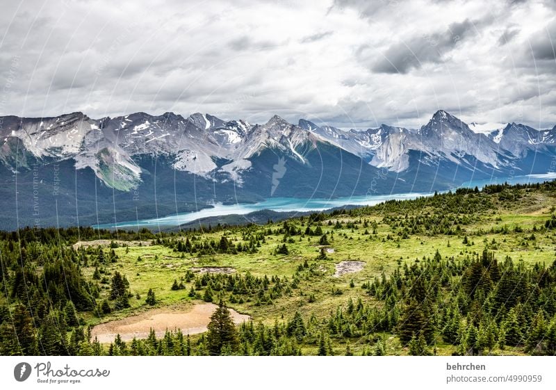 es war einmal in kanada Jasper National Park Wolken wandern Kanada Abenteuer Berge u. Gebirge Wald Bäume Landschaft Nordamerika Rocky Mountains Fernweh Ferne