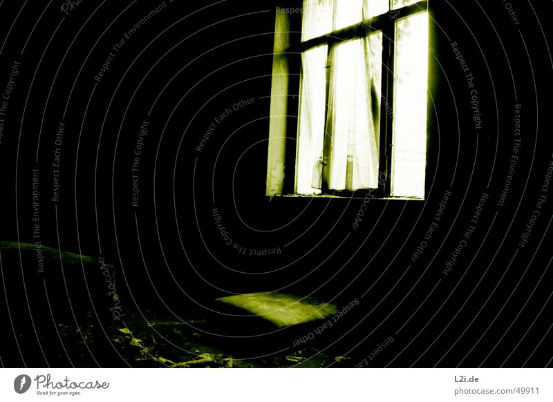 Green Room IV grün schwarz weiß Licht Fenster dunkel gruselig Wand Haus Raum Bett Zerstörung alt Kontrast Einsamkeit Wind