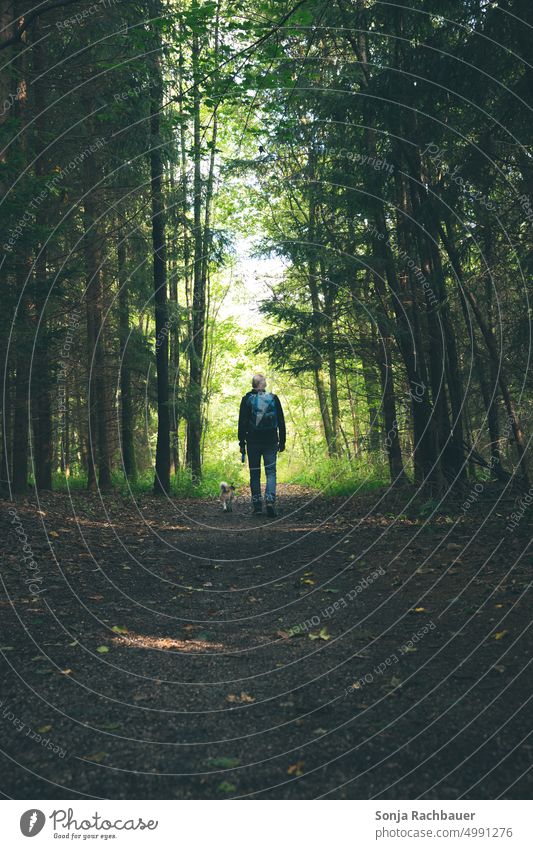 Ein Mann wandert mit einem kleinen Hund auf einem Waldweg. Rückansicht wandern Abenteuer Lifestyle Trekking Ausflug Natur Reisender Wanderer Tourist