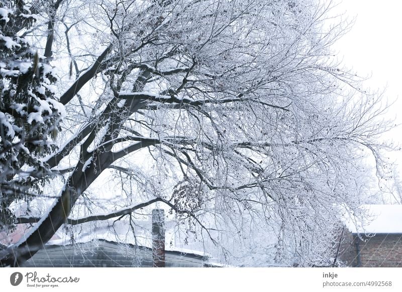Schneeauto Foto & Bild  jahreszeiten, winter, natur Bilder auf