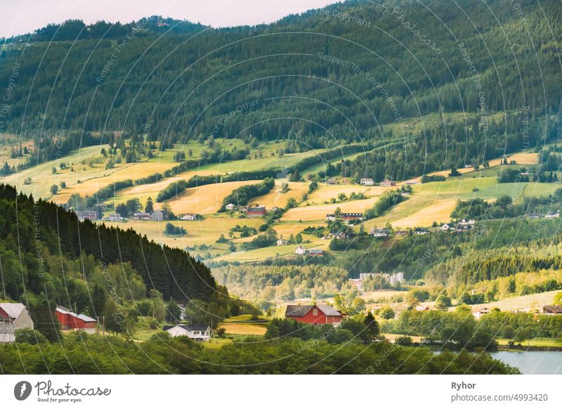 Dorf Byrkjelo, Bezirk Sogn Og Fjordane, Norwegen. Schöne Himmel über norwegischen ländlichen Landschaft. Bergheimsvatnet See im Sommer Tag. Landwirtschaft und Wettervorhersage Konzept