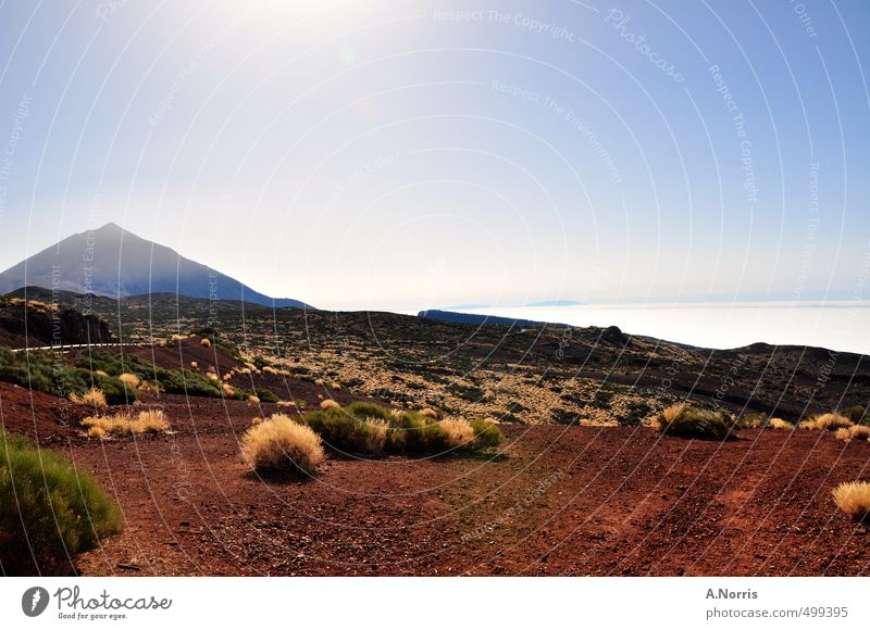 El Teide Umwelt Natur Landschaft Erde Sand Luft Wolkenloser Himmel Sonnenlicht Sommer Schönes Wetter Wärme Dürre Sträucher Hügel Vulkan Wüste Teneriffa Spanien