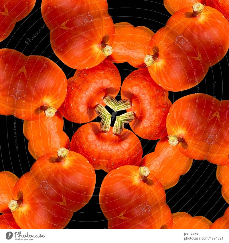 hokkaido mandala Kürbis orange Mandala Ornament Design Frucht reif Gemüse Ernährung gesund Halloween Lebensmittel Erntedankfest Herbst Dekoration & Verzierung
