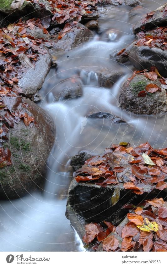 - herbstliches wassertreiben - Blatt Herbst Bach Langzeitbelichtung Wasser Fluss Felsen Stein Wasserfall wasserfälchen