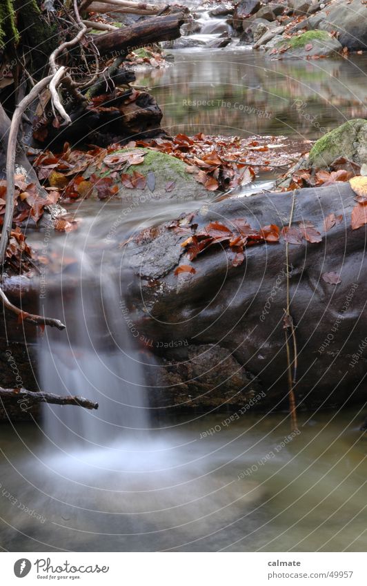 - herbstliches gewässer - Blatt Herbst Bach Langzeitbelichtung Wasser Fluss Felsen Stein Wasserfall wasserfälchen