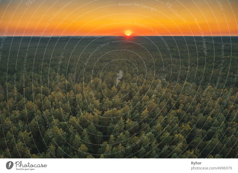 Aerial View of Sunset Sky Above Green Forest Landscape In Evening. Top View From High Attitude In Summer Sunrise. Sun Sunshine Above Coniferous Forest Antenne