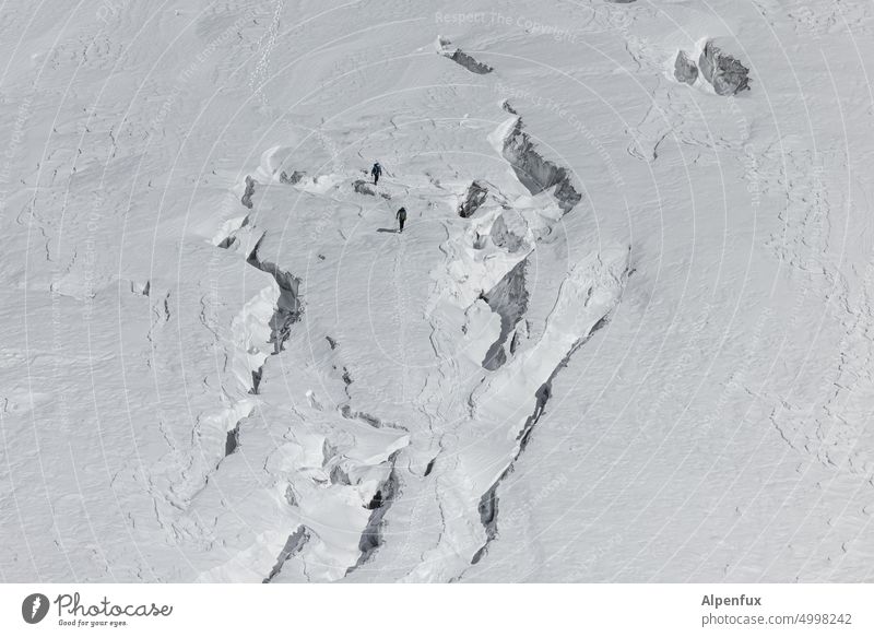 Seilschaft Gletscher Spalten Gletscherspalte Berge u. Gebirge Natur Eis Winter Bergsteigen Bergsteiger Spaltensturz Frost Schnee Außenaufnahme Abenteuer Alpen