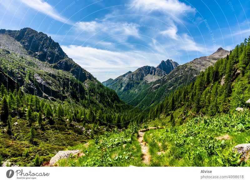 2022 06 04 CimaDasta-Tal 4 Italien Berge u. Gebirge Alpen Landschaft Natur reisen Weg wandern Panorama Gipfel alpin Sommer Europa Trekking malerisch Felsen
