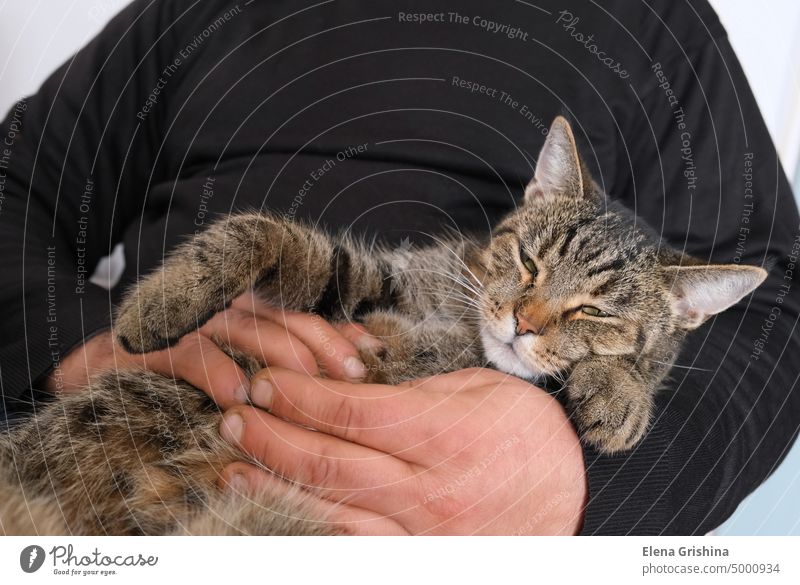 Ein gesichtsloser Mann in einem schwarzen Pullover hält eine getigerte Katze in seinen Armen. Das Konzept der Freundschaft zwischen Menschen und Haustieren. Nahaufnahme.