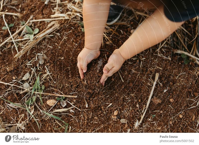 Nahaufnahme Kind beim Pflücken von Erde Hand Kindheit Kommissionierung Boden authentisch Außenaufnahme Natur Mensch Farbfoto Lifestyle Tag Freude Kaukasier