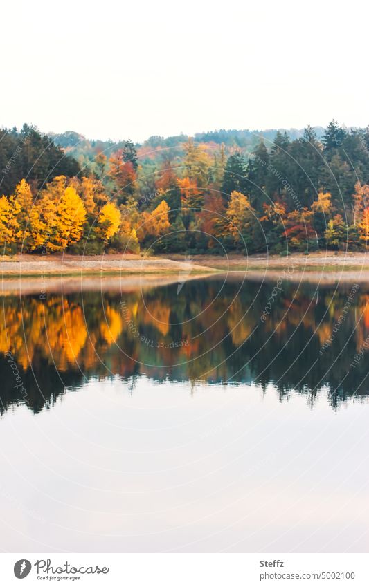 Herbstlandschaft am See Herbstfärbung Herbstfarben Herbstwald Seeufer Ufer herbstliche Impression Spiegelung Wasserspiegelung Vergänglichkeit Ruhe Idylle ruhig