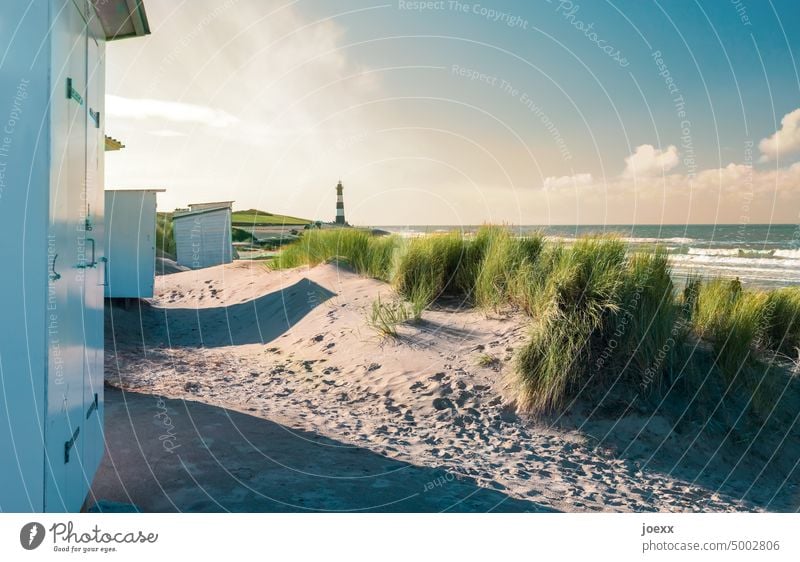 weiße Strandhütten auf Düne mit grünem Dünengras, im Hintergrund ein Leuchtturm Landschaft Natur Himmel Farbfoto Dünengrasm Sand Hütte Meer Wolken Küste