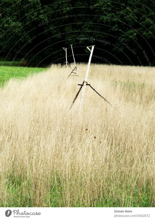 Prothesen für die Natur Rastplatz Vögel Flugbahn Agrarfläche Vogel Hilfestellung Mäusefänger Naturschutzgebiet Kontrast freie Bahn Jagd Jäger Wald hell-dunkel