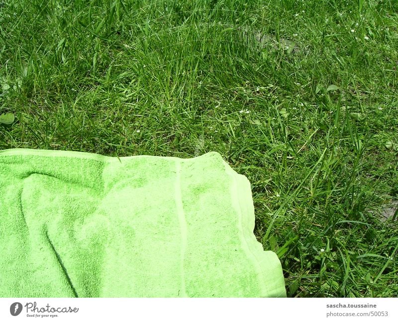 Grün auf grün / green at green Handtuch Rasen Gras liegen Sonne Sonnenbad Sonnenenergie Schwimmen & Baden Stoff Strand Wiese Sommer Freizeit & Hobby strandtuch