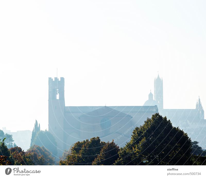 Kirche: Siena Wolkenloser Himmel Herbst Nebel Baum Toskana Italien Skyline Dom außergewöhnlich Religion & Glaube Farbfoto Menschenleer Textfreiraum oben