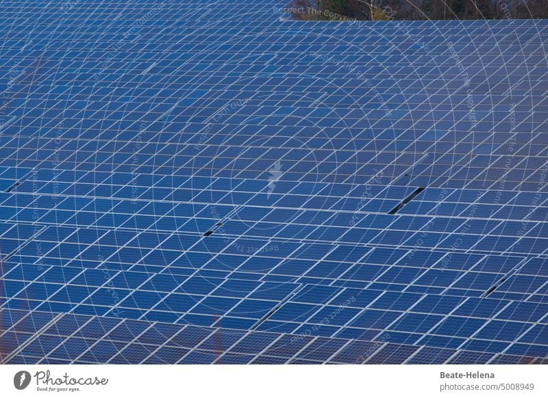 Mit Solarmodulen die Sonnenenergie netzen Solarenergie Photovoltaik Energiewirtschaft Energiegewinnung nachhaltig umweltfreundlich Photovoltaikanlage